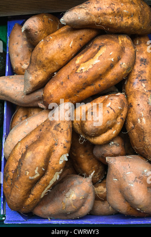 Les patates douces ou l'Igname. Banque D'Images