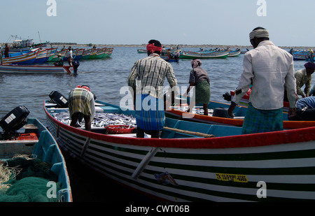 Retour des pêcheurs dans la région côtière de port après la grosse prise de poissons.Scène de Thangassery Port de pêche de Kollam, Kerala, Inde Banque D'Images