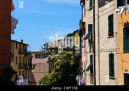 Maisons colorées au Cinque Terre Italie Banque D'Images