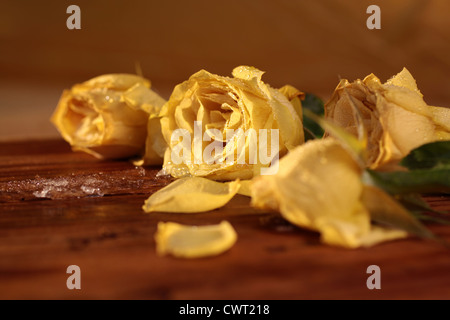 Roses jaunes congelés sur une table en bois rustique Banque D'Images