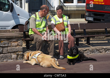 Les déficients visuels l'homme et la femme s'assit sur un banc profitant du soleil avec les chiens sur le sol à leurs pieds à Weymouth Banque D'Images