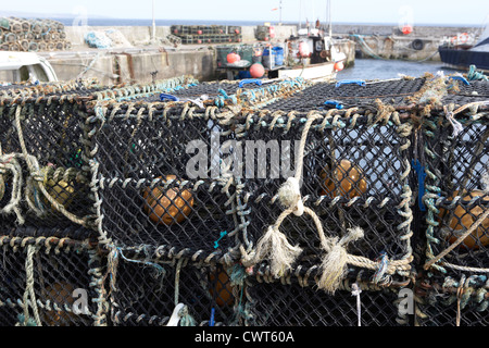 Les nouveaux casiers à homard empilés à John O'Groats harbour scotland uk Banque D'Images