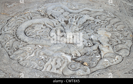 Culptures Dragon sur la chaussée de pierre à l'intérieur de la Cité Interdite, Beijing Banque D'Images