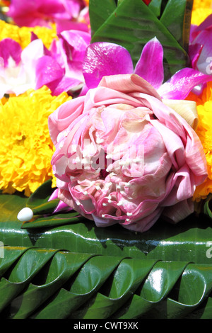 Lotus sur des feuilles de banane pour handmate festival Loy Kratong, Thaïlande Banque D'Images