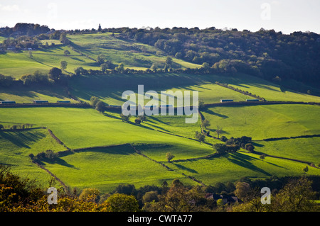 Woolley Valley montrant l'ensemble de cabanes de poulet controversé centre de l'image Banque D'Images