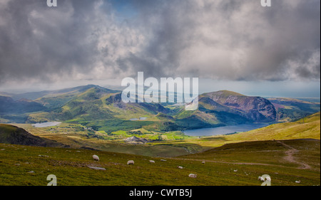 Moutons sur la colline parlementaire vu du Mont Snowdon Banque D'Images