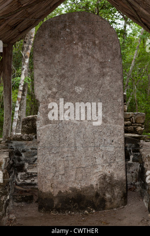 Stèle sculptée à Coba Myan ruines, Mexique Banque D'Images