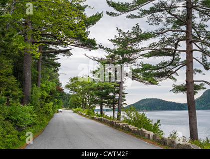 Voiture sur Sargent longer Somes Sound dans l'Acadia National Park, Mount Desert Island, Maine, USA Banque D'Images