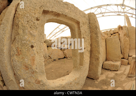 Malte, Hagar Qim, temple mégalithique préhistorique,maintenant sous l'auvent Banque D'Images