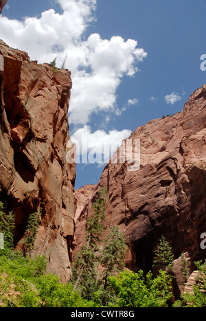 Doigt sur Taylor Creek Trail Canyon Kolob Canyons dans la région de Zion National Park, Utah Banque D'Images