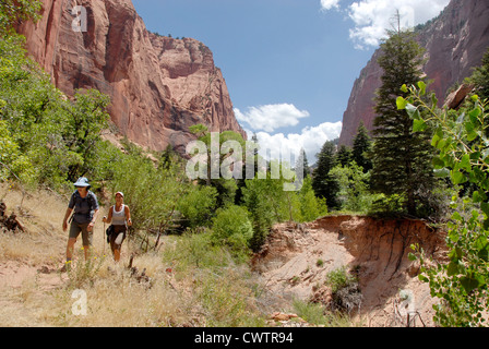 La randonnée sur le sentier du ruisseau Taylor Kolob Canyons dans la région de Zion National Park, Utah Banque D'Images