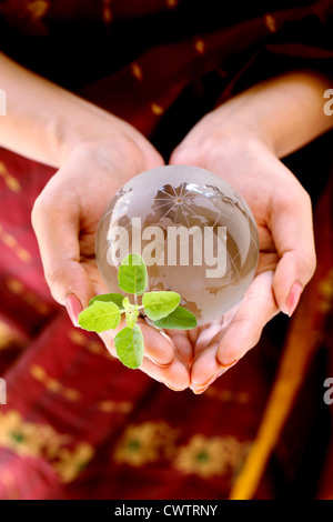 Globe en verre et des plantes dans les mains -Green World Banque D'Images