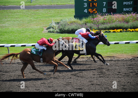 Chevaux qui courent à Humboldt County Fairgrounds et fleurs balustrade infield passant à Ferndale, California Banque D'Images