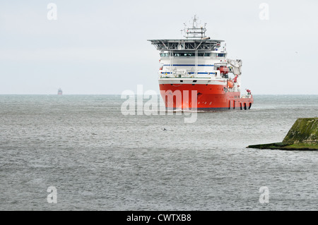 L'Gulmar Da Vinci, plongée sous-marine à bord du navire de soutien, la saisie d'Aberdeen Harbour 2012 avec un dauphin en face Banque D'Images