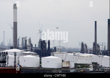 Le dirigeant d'une mouette survole un sombre paysage industriel, Port de Rotterdam Banque D'Images