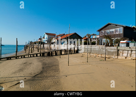 L'Herbe, Arcachon, Gironde, Aquitaine France Banque D'Images