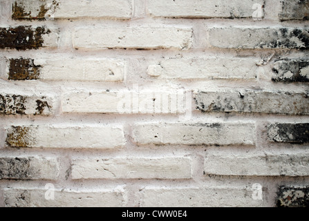 Vieux mur en brique blanche background Banque D'Images