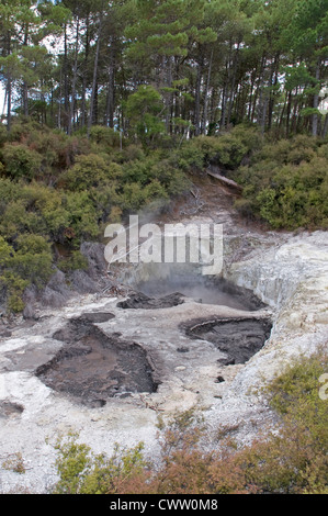 Wai-O-Tapu Thermal Wonderland près de Rotorua, Nouvelle-Zélande Banque D'Images