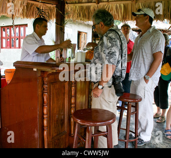 Murale de la Préhistoire, Vive La Aventura, Valle de Vinales, Valle de Vieales Valley, Pinar del Rio, Cuba. Bar extérieur Banque D'Images