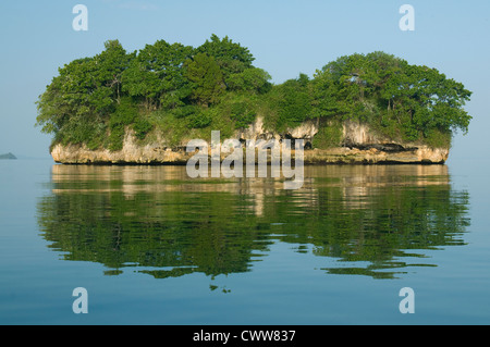 Îles calcaires ou "ogotes', du parc national Los Haitises, République Dominicaine Banque D'Images