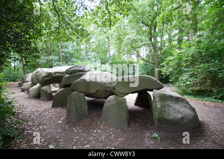 L'année 5000 vieux dolmen, une tombe mégalithique et la plus ancienne structure dans les Pays-Bas Banque D'Images