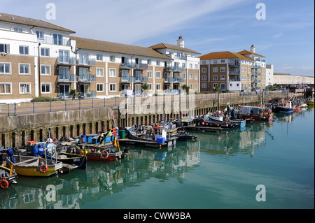 Yachts et bateaux de pêche amarré à la marina de Brighton East Sussex UK aux côtés d'appartements Appartements construit à cet effet et de logement Banque D'Images