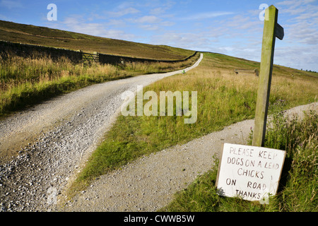 Inscrivez-dog walkers dit de maintenir les chiens sur des pistes en raison de l'éclosion de poussins, Grimwith réservoir, Yorkshire Dales, Angleterre. Banque D'Images