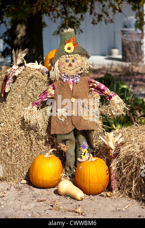 Affichage de la saison d'automne avec des citrouilles et un épouvantail des balles de foin à Montgomery, dans l'Indiana Banque D'Images