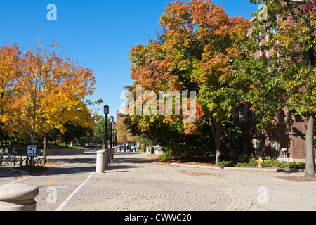 Automne feuillage lumineux sur le campus de l'Université Purdue à West Lafayette, Indiana Banque D'Images