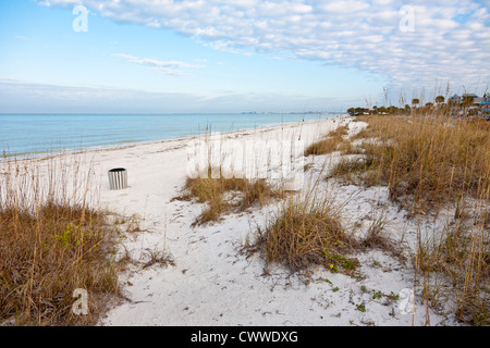 Les dunes et la mousse de mer le long de la ligne de côte au Col un grill Beach, Floride Banque D'Images