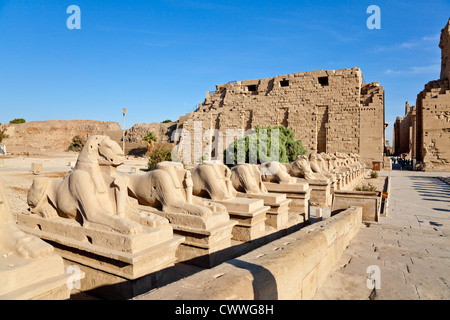 Rangée de sphinx ramheaded au temple de Karnak, Louxor, Egypte Banque D'Images