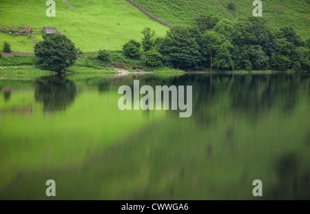 Les verts pâturages luxuriants et arbres se reflétant dans l'eau frères dans le Lake District, Cumbria. Banque D'Images