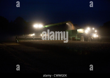 Un fermier moissonne le blé dans le noir Banque D'Images