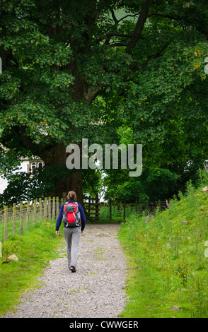 Un randonneur marchant dans un chemin de galets vers Hartsop Hall près de frères de l'eau dans le Lake District, Cumbria. Banque D'Images