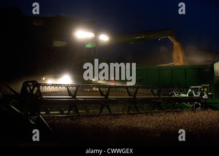 Un fermier moissonne le blé dans le noir Banque D'Images