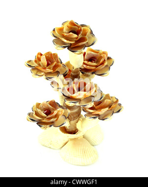 Décoration florale de Shell d'isoler sur un fond blanc Banque D'Images