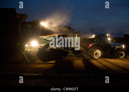 Un fermier moissonne le blé dans le noir Banque D'Images