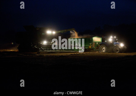 Un fermier moissonne le blé dans le noir Banque D'Images