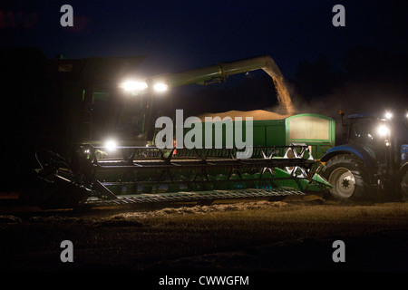 Un fermier moissonne le blé dans le noir Banque D'Images