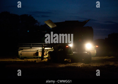 Un fermier moissonne le blé dans le noir Banque D'Images