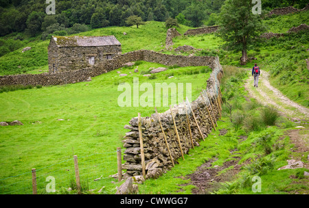 Un randonneur marchant le long d'une voie difficile vers une grange en pierre près de Dovedale Beck dans le Lake District, Cumbria. Banque D'Images