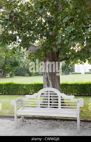 Banc en bois, sous un arbre. Banque D'Images