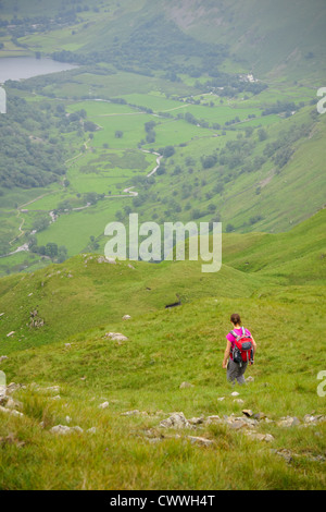 Un randonneur descend dans Dovedale Beck d'Hartsop Dodd dans le Lake District, Cumbria. Banque D'Images