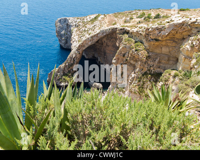 La grotte Bleue près du village de Zurrieq, île de Malte, mer Méditerranée Banque D'Images