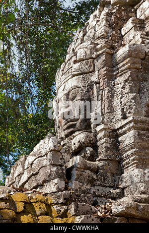 Ta Som temple à Siem Reap, Cambodge. Banque D'Images