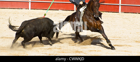 Corrida à cheval. Corrida espagnole typique. Banque D'Images