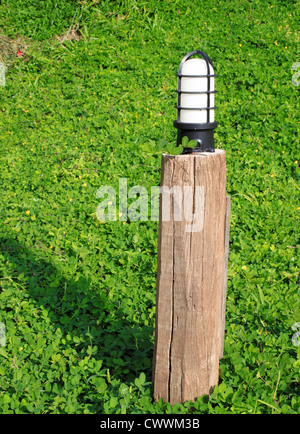 Lampe de Jardin sur l'arrière-plan de l'herbe verte Banque D'Images