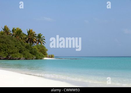 La vaisselle des vagues on tropical beach Banque D'Images