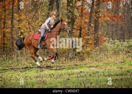 Woman riding horse in forest Banque D'Images