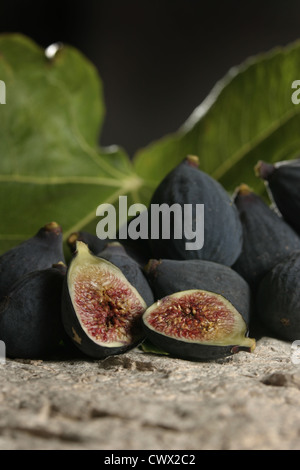 Photo : Steve Race - figues noires mûres (Ficus carica), Catalogne, Espagne. Banque D'Images